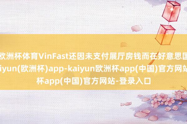 欧洲杯体育VinFast还因未支付展厅房钱而在好意思国被告状-kaiyun(欧洲杯)app-kaiyun欧洲杯app(中国)官方网站-登录入口