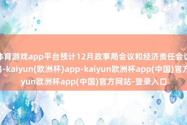 体育游戏app平台预计12月政事局会议和经济责任会议将再行凝合共鸣-kaiyun(欧洲杯)app-kaiyun欧洲杯app(中国)官方网站-登录入口