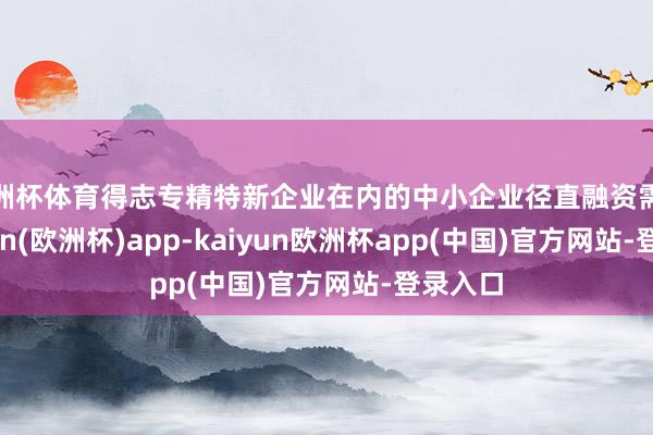 欧洲杯体育得志专精特新企业在内的中小企业径直融资需求-kaiyun(欧洲杯)app-kaiyun欧洲杯app(中国)官方网站-登录入口